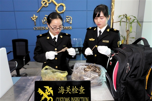 海关报关1.jpg